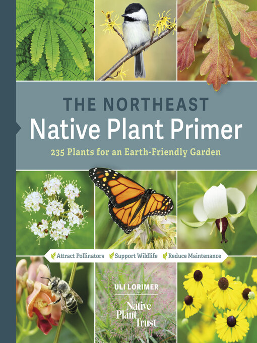 Title details for The Northeast Native Plant Primer by Uli Lorimer - Available